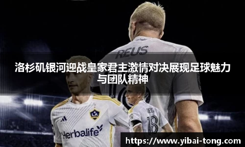 九游·体育